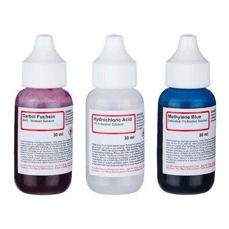 AMSCOPE Acid Fast Stain Kit of Three Chemicals for Preparing Microscope Bacteria Slides SK-3